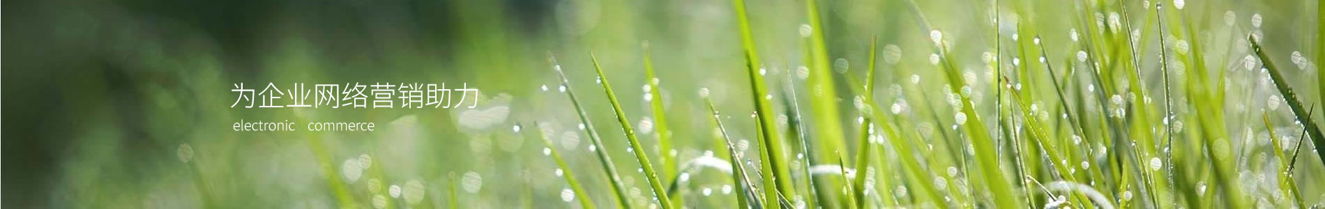 ݴΪ޹˾